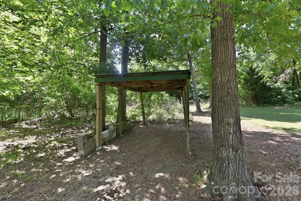 1115 Fiddler Brown Drive Rockwell NC 28138