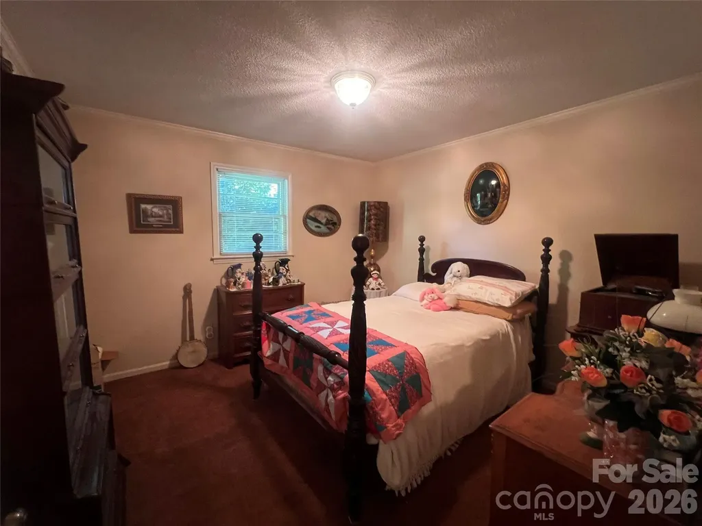 3393 Anderson Mountain Road Maiden NC 28650