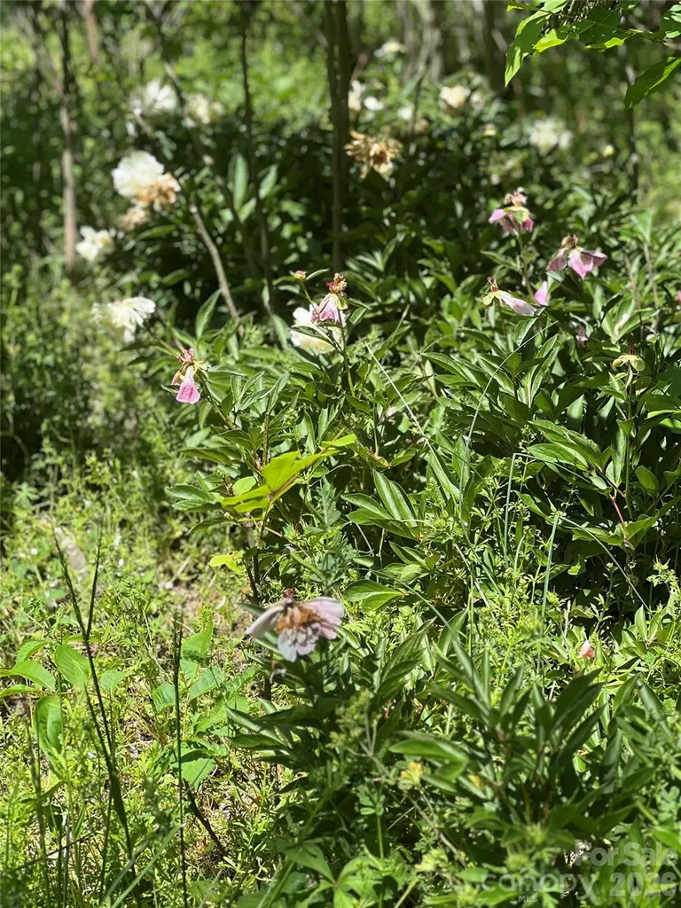 3393 Anderson Mountain Road Maiden NC 28650