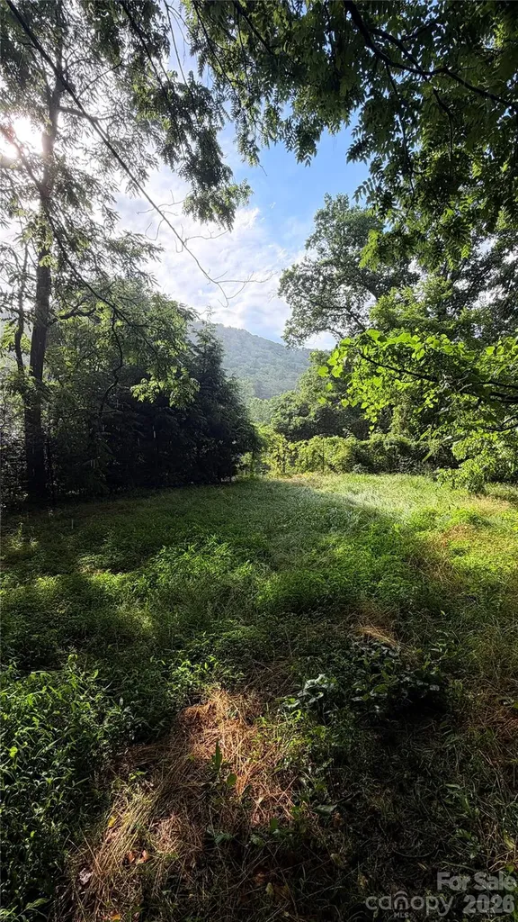 20 Utopia Road Asheville NC 28805