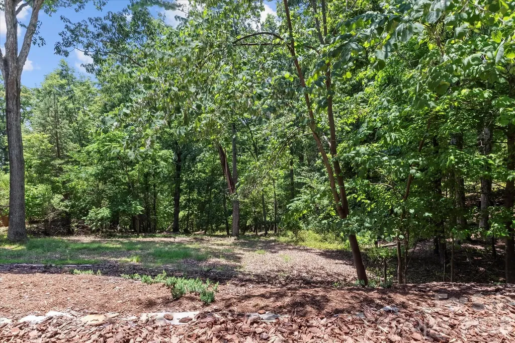 172 Lawson's Lookout Denton NC 27239