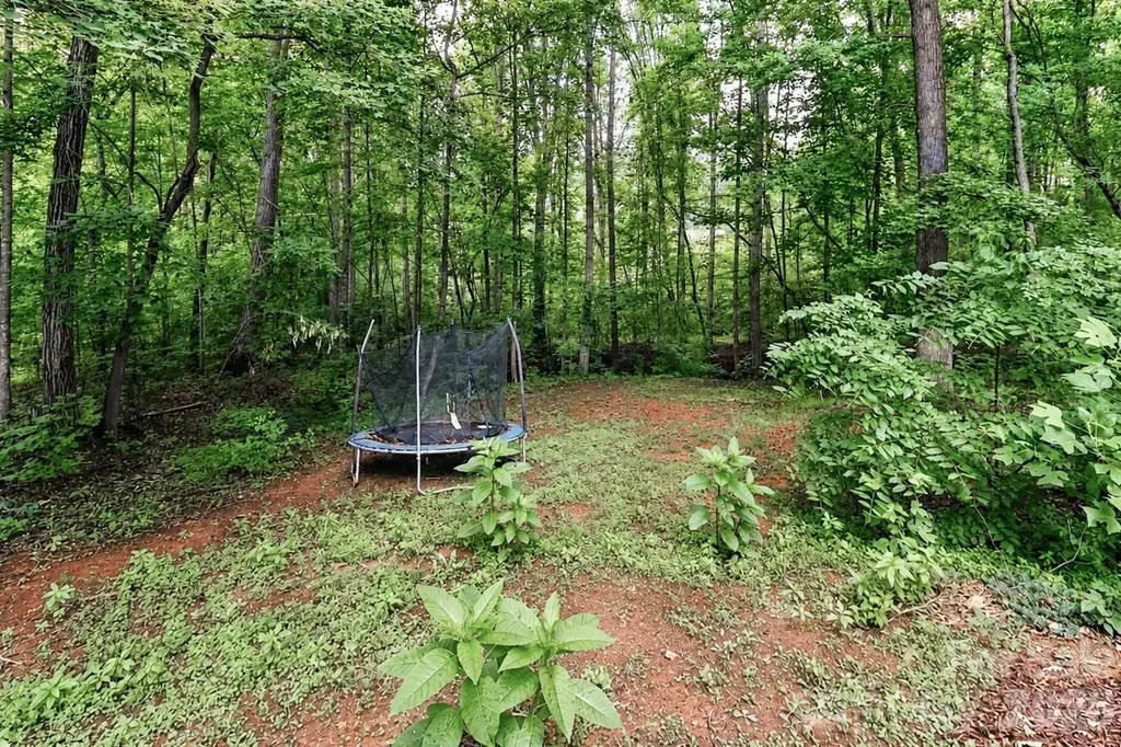 7371 Summit Drive Denver NC 28037