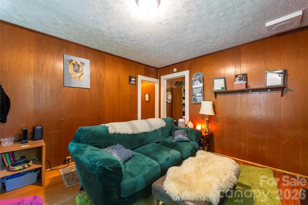 14 Border Street Black Mountain NC 28711