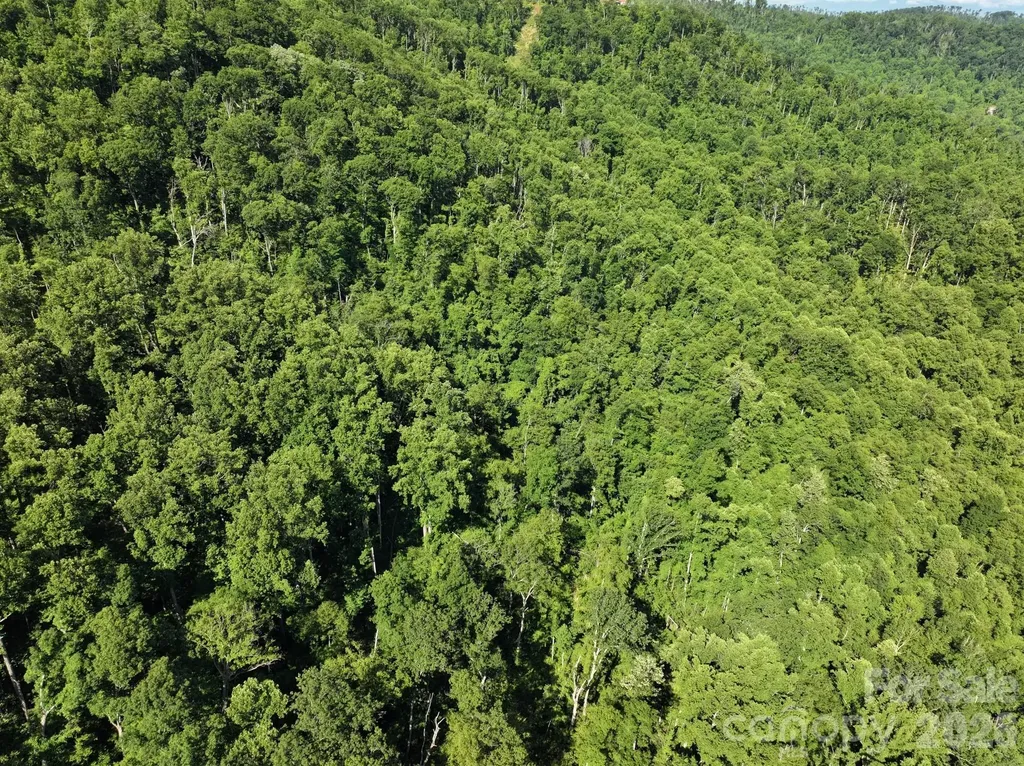 Tbd Ox Creek Road Weaverville NC 28787