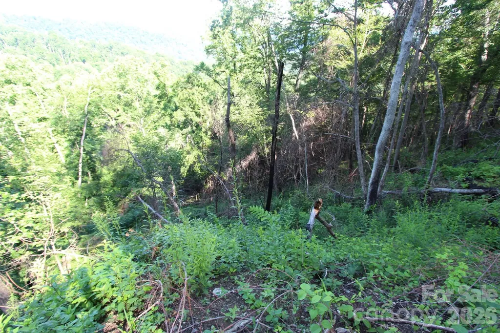Tbd Ox Creek Road Weaverville NC 28787
