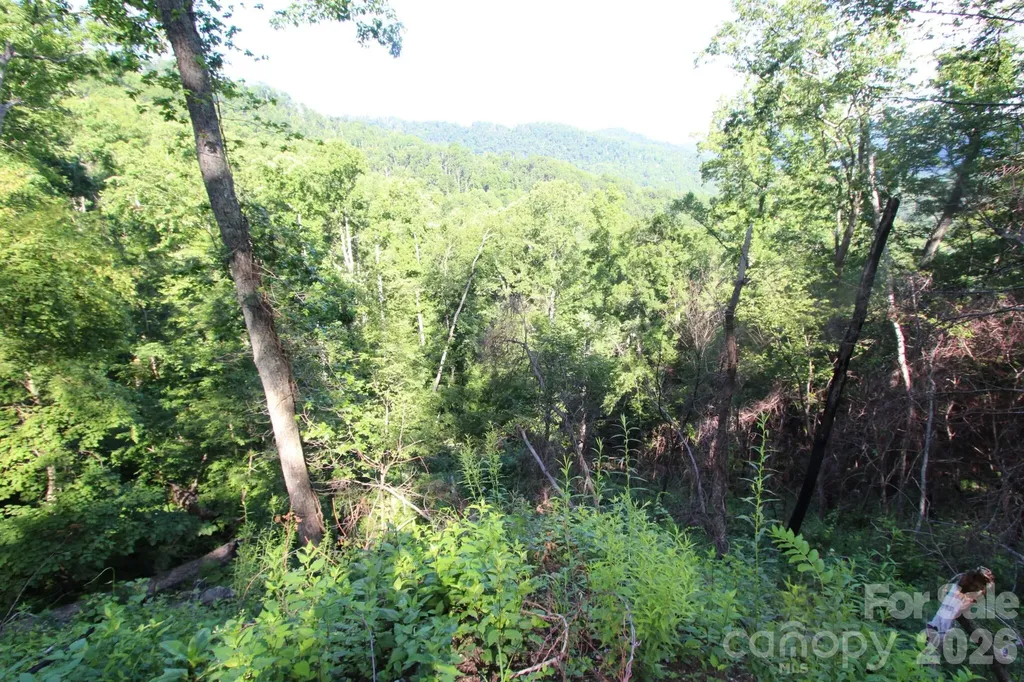 Tbd Ox Creek Road Weaverville NC 28787