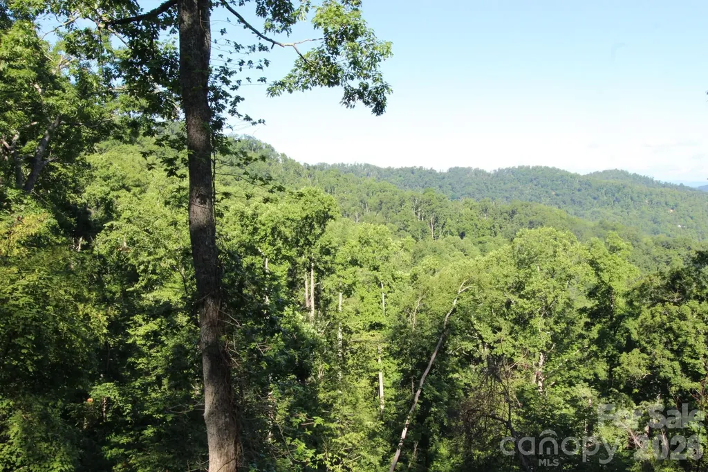 Tbd Ox Creek Road Weaverville NC 28787