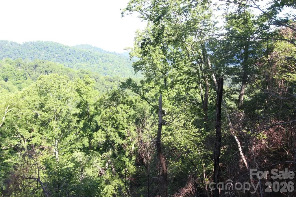 Tbd Ox Creek Road Weaverville NC 28787
