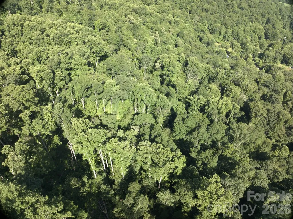 Tbd Ox Creek Road Weaverville NC 28787