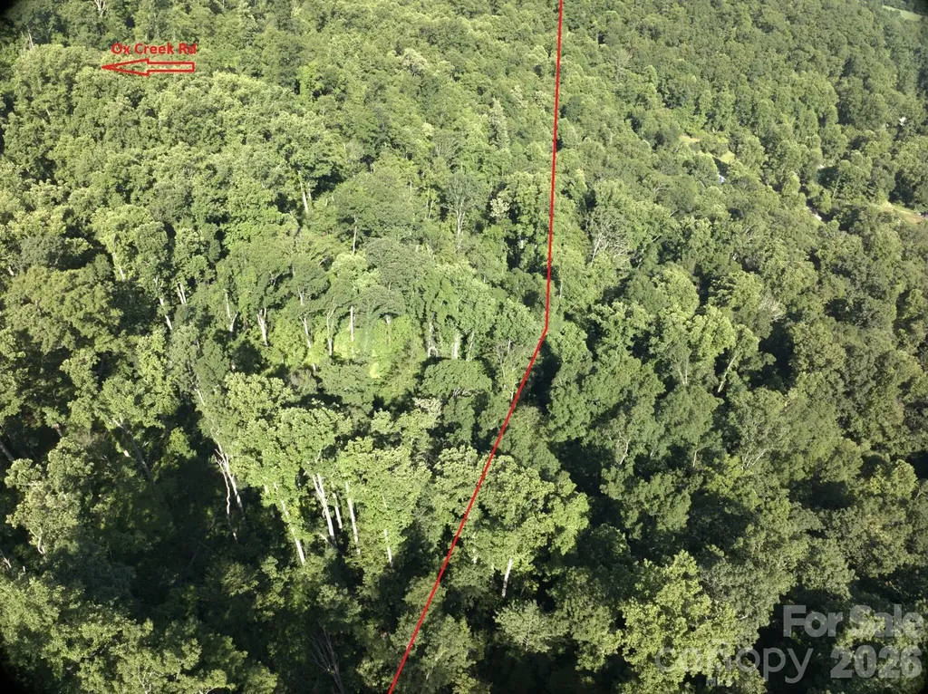 Tbd Ox Creek Road Weaverville NC 28787