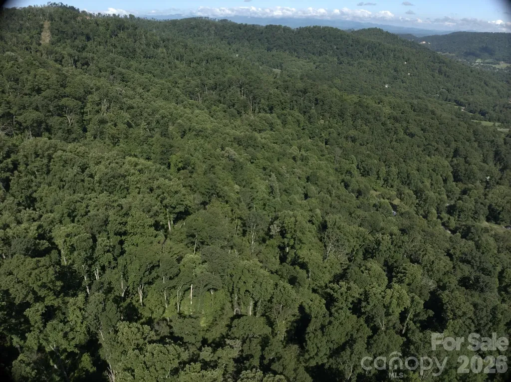 Tbd Ox Creek Road Weaverville NC 28787