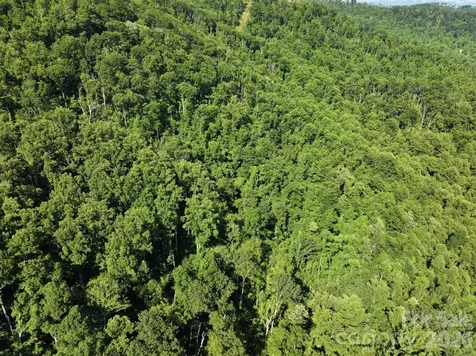 Tbd Ox Creek Road Weaverville NC 28787