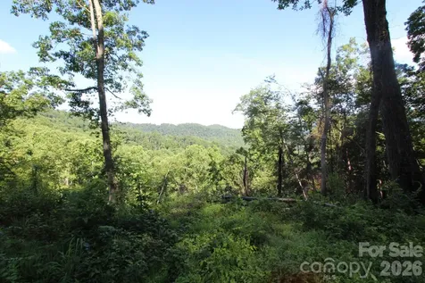 Tbd Ox Creek Road Weaverville NC 28787