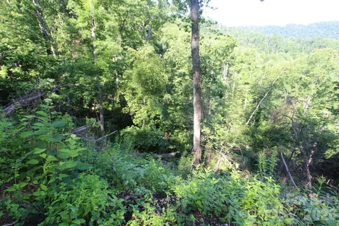 Tbd Ox Creek Road Weaverville NC 28787