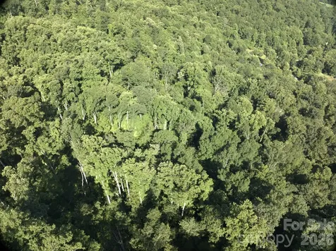Tbd Ox Creek Road Weaverville NC 28787