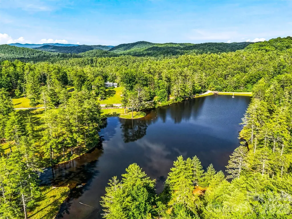 1367 Stones Lake Road Cedar Mountain NC 28718