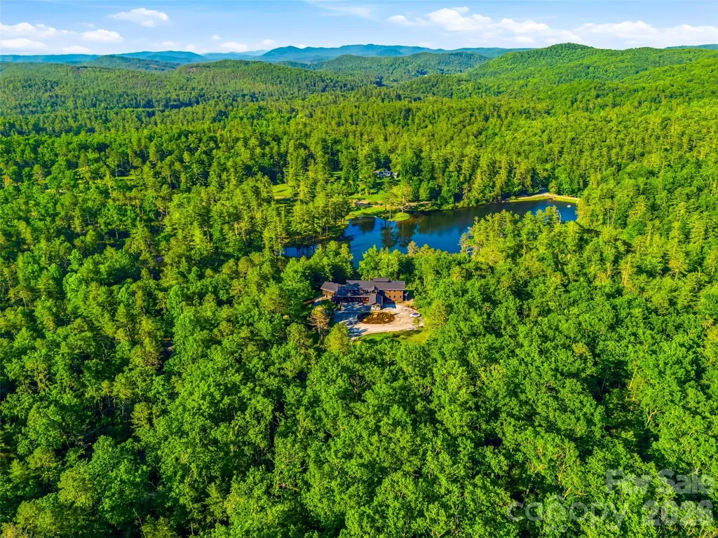 1367 Stones Lake Road Cedar Mountain NC 28718