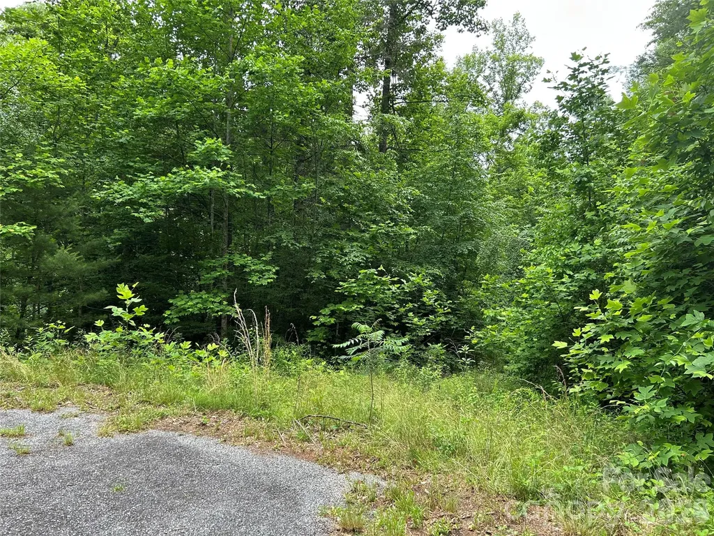 0 Silverstone Drive Hendersonville NC 28792