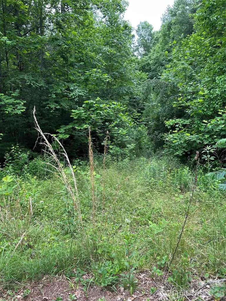 0 Silverstone Drive Hendersonville NC 28792