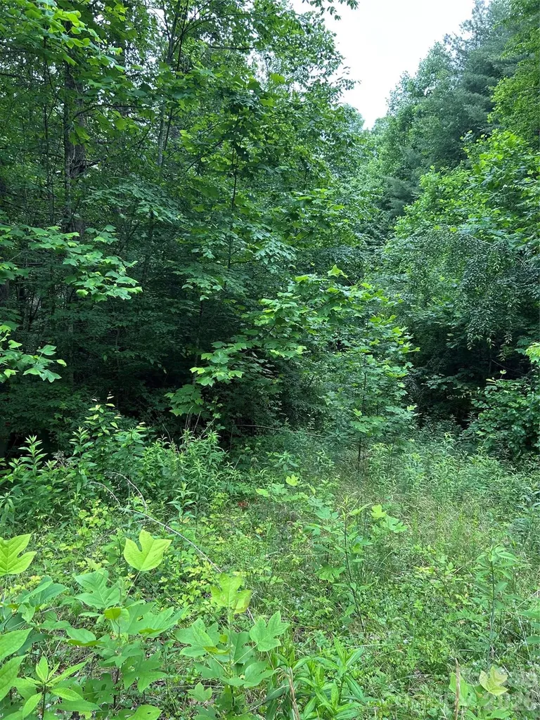 0 Silverstone Drive Hendersonville NC 28792