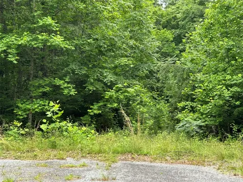 0 Silverstone Drive Hendersonville NC 28792