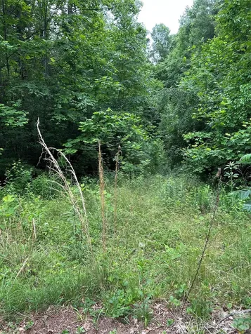 0 Silverstone Drive Hendersonville NC 28792