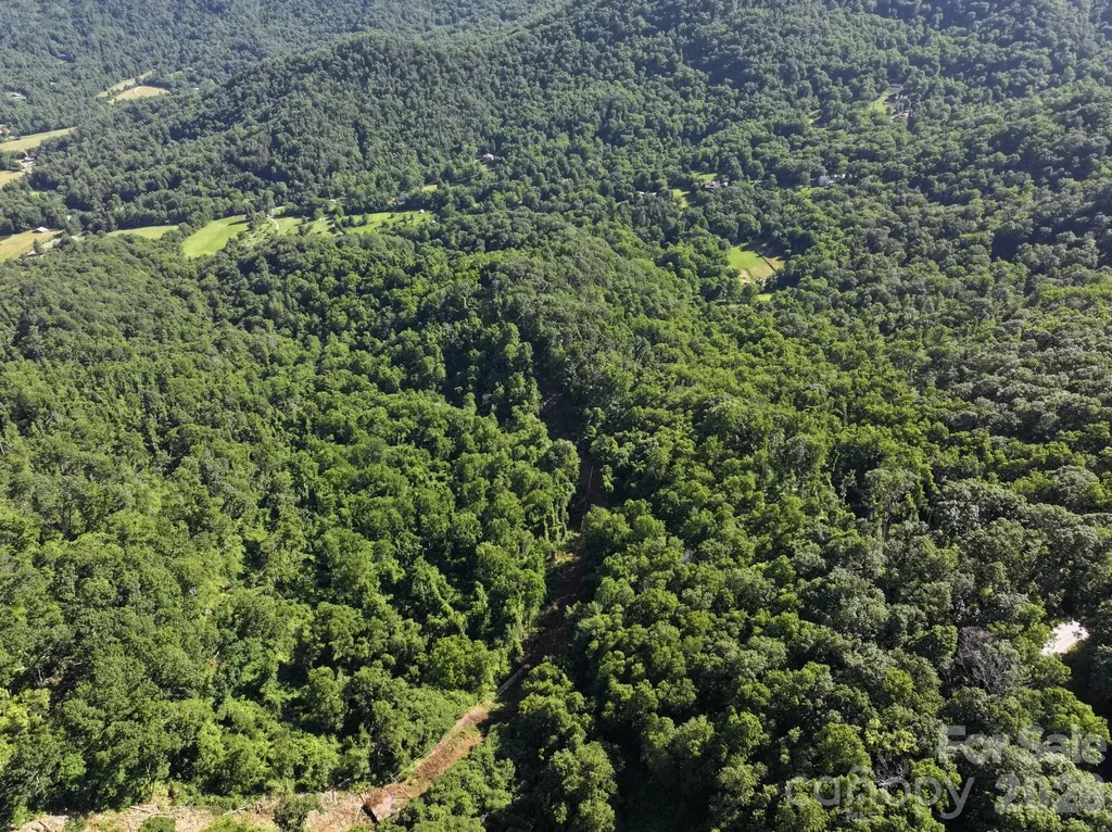 00 Ox Creek Crest Lane Weaverville NC 28787