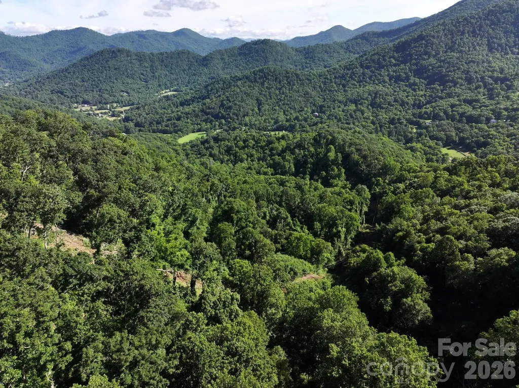 00 Ox Creek Crest Lane Weaverville NC 28787
