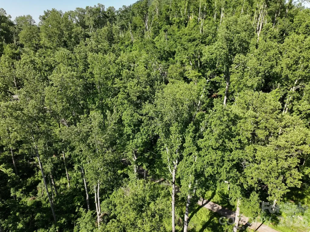 00 Ox Creek Crest Lane Weaverville NC 28787