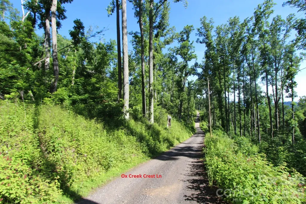00 Ox Creek Crest Lane Weaverville NC 28787