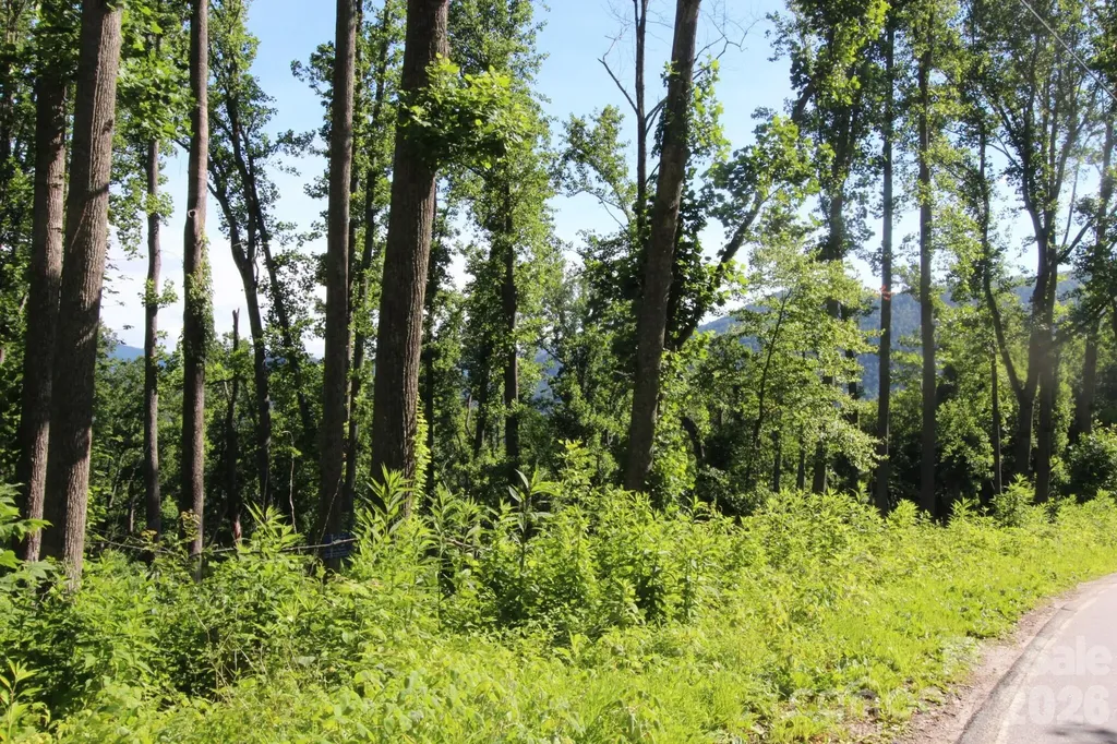00 Ox Creek Crest Lane Weaverville NC 28787