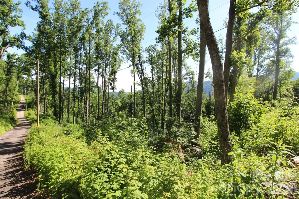 00 Ox Creek Crest Lane Weaverville NC 28787