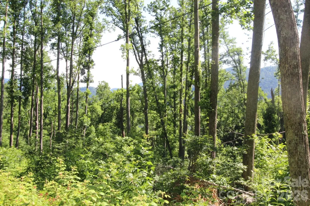 00 Ox Creek Crest Lane Weaverville NC 28787