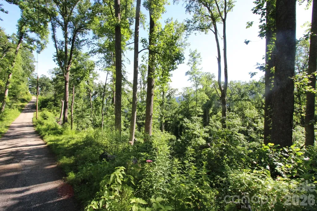 00 Ox Creek Crest Lane Weaverville NC 28787