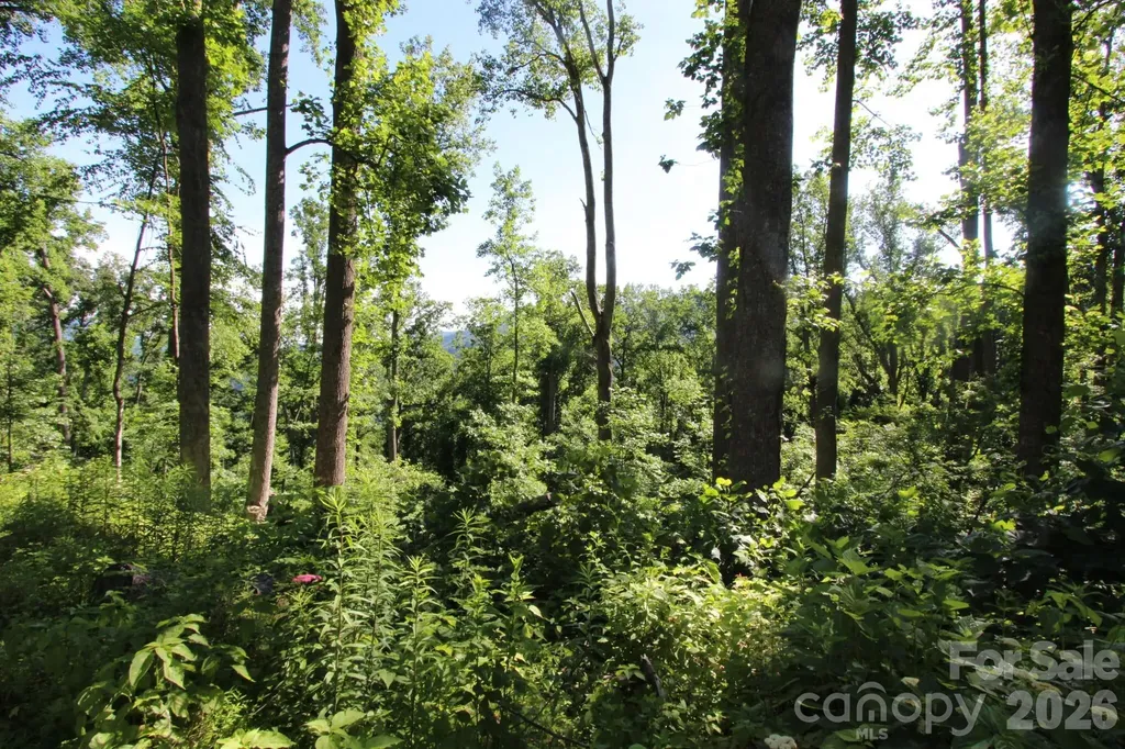 00 Ox Creek Crest Lane Weaverville NC 28787