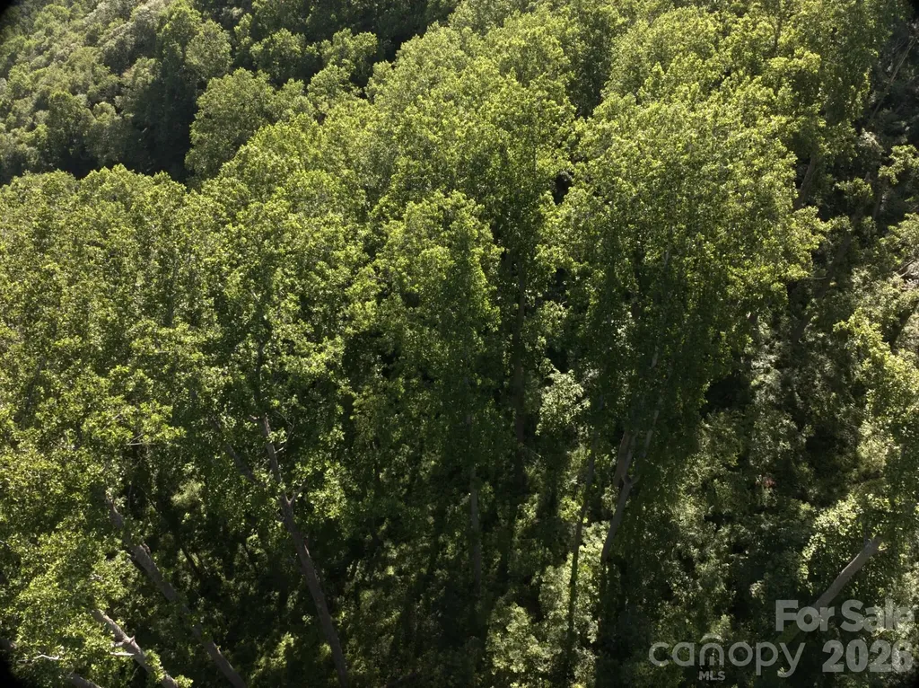00 Ox Creek Crest Lane Weaverville NC 28787