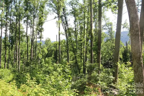 00 Ox Creek Crest Lane Weaverville NC 28787