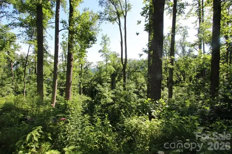 00 Ox Creek Crest Lane Weaverville NC 28787