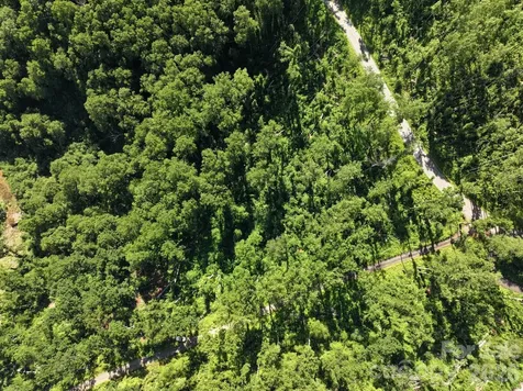 00 Ox Creek Crest Lane Weaverville NC 28787