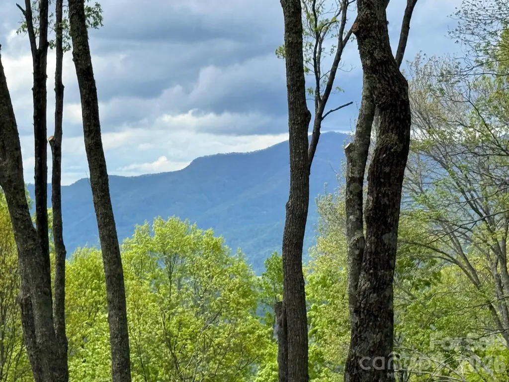 1817 E Reach Road Sylva NC 28779
