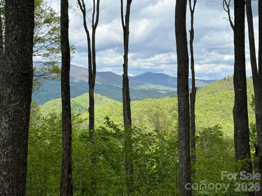 1817 E Reach Road Sylva NC 28779