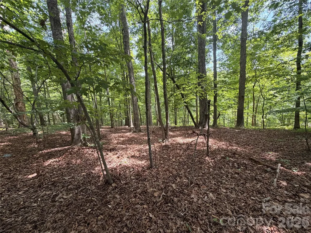 Lots 14,15,16 Trollingwood Lane Mooresville NC 28117