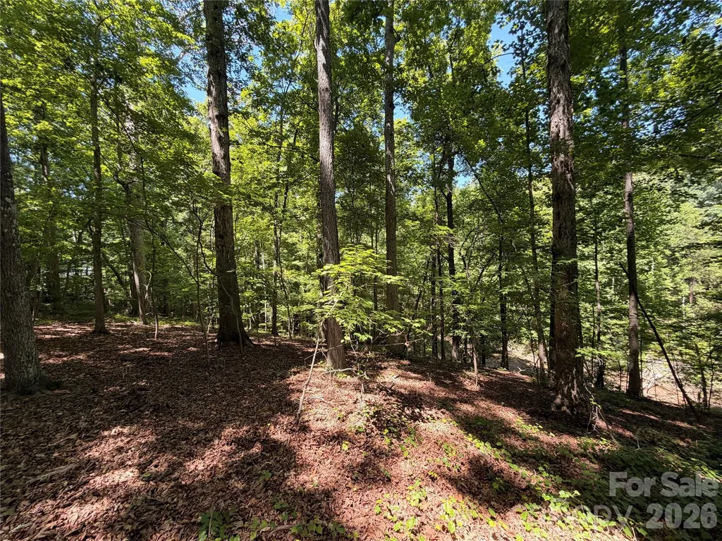 Lots 14,15,16 Trollingwood Lane Mooresville NC 28117