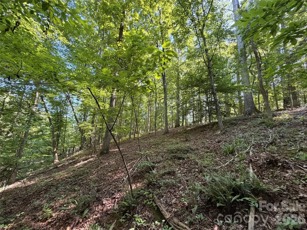 Lots 14,15,16 Trollingwood Lane Mooresville NC 28117
