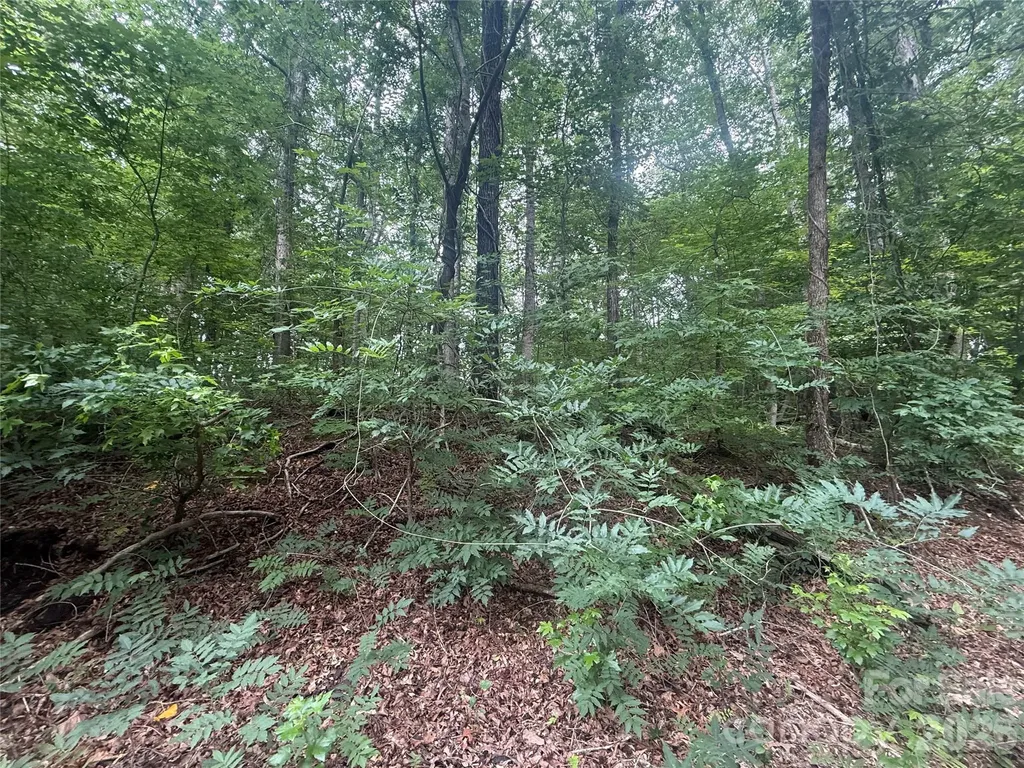 0000 S Lineberry Street Troy NC 27371