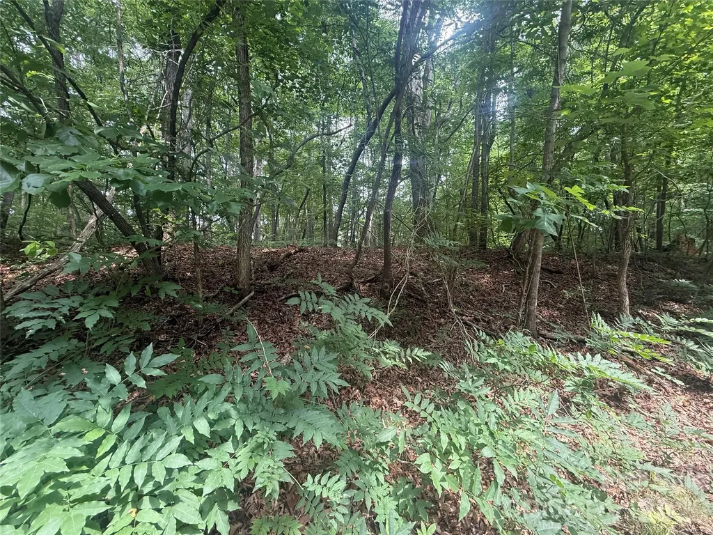 0000 S Lineberry Street Troy NC 27371