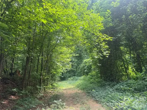 0000 S Lineberry Street Troy NC 27371