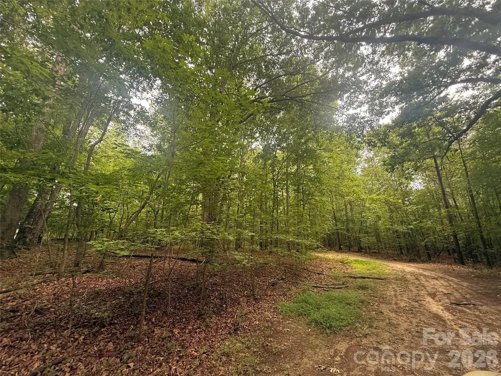 0 S Lineberry Street Troy NC 27371