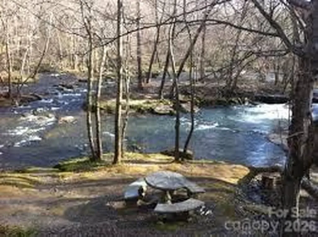 119 Egret Road Lake Lure NC 28746