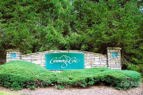 1820 Riverview Court Hendersonville NC 28739